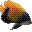 ReefCon 2000 icon