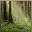 Serenity Forest Screensaver 1.2