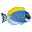 Sim AQUARIUM icon