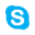 Skype icon