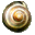 SnailSync 1