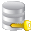 SQL Decrypter Pro icon
