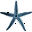 StarFisher icon