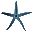 StarFisher Portable icon