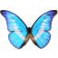 Stone Video Converter 1.6