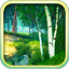 Summer Forest 3D Screensaver 1