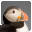 TalkingPuffin icon