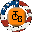 TCB Report Master 12