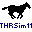 THRSim11 icon