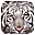 Tigers Free Screensaver icon