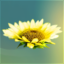 TippyTerm icon