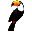 Toucan icon