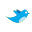 Tweeter Feeder icon