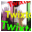 Twixtor icon