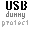 UsbDummyProtect icon