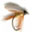V3 Pro Angler Fishcatch Tracker-free icon