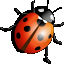 Weather Beetle icon