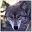 Wolves Windows 7 Theme 1