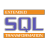 X-SQLT Portable icon