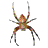 XenoCrawler icon