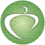 Zaitun Time Series icon