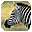 Zebras Free Screensaver 2