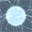 Zoom Mania icon