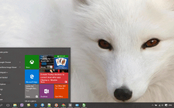 Arctic Fox screenshot