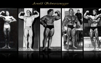 Arnold Schwarzenegger screenshot 15