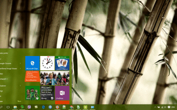 Bamboo screenshot