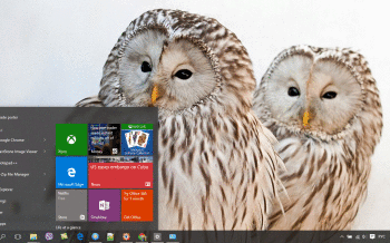 Barred Owl screenshot