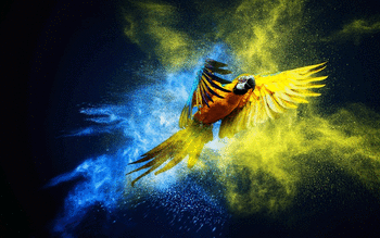 Blue And Yellow Macaw screenshot 28