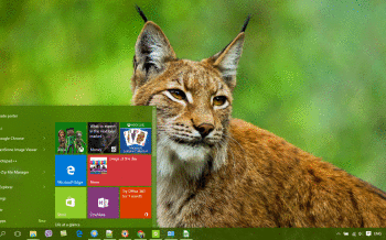 Bobcat screenshot