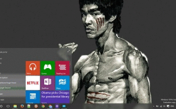 Bruce Lee screenshot