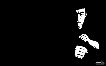 Bruce Lee screenshot 3
