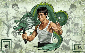 Bruce Lee screenshot 9