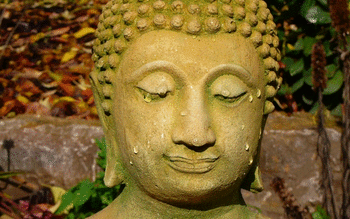 Buddha screenshot 2