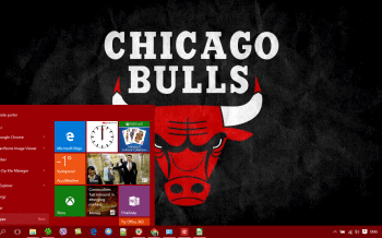 Chicago Bulls screenshot