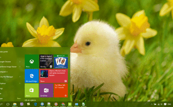 Chicken screenshot