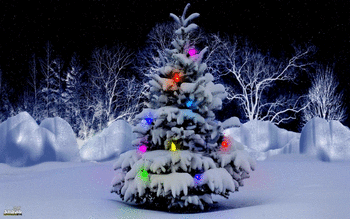 Christmas Tree screenshot 14