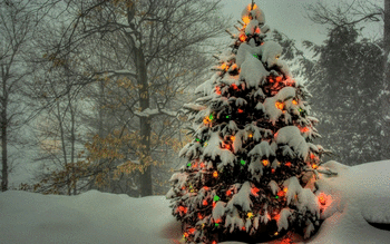 Christmas Tree screenshot 16