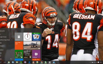 Cincinnati Bengals screenshot