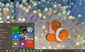 Clownfish screenshot