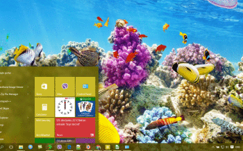 Coral screenshot