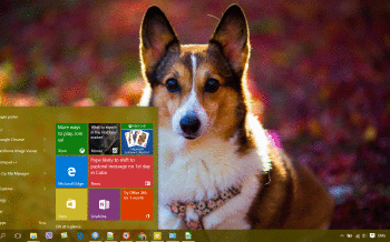 Corgi screenshot