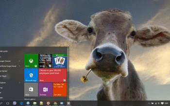 Cow screenshot