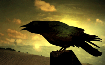 Crow screenshot 13