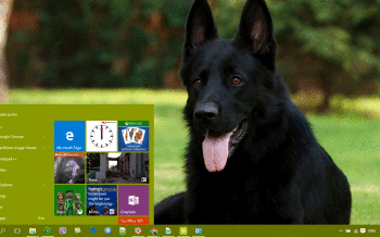 Dog screenshot