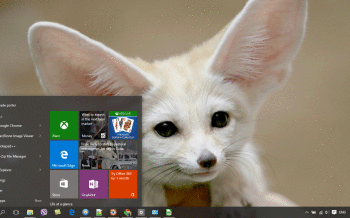 Fennec Fox screenshot