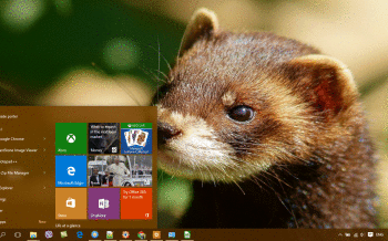 Ferret screenshot